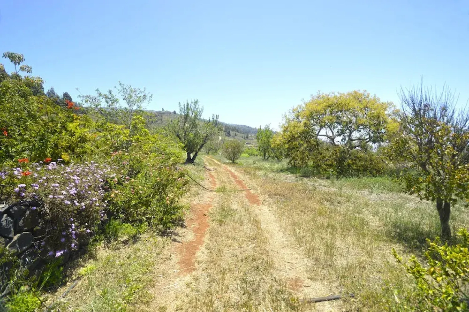 Casa Rural El Jócamo by Isla Bonita