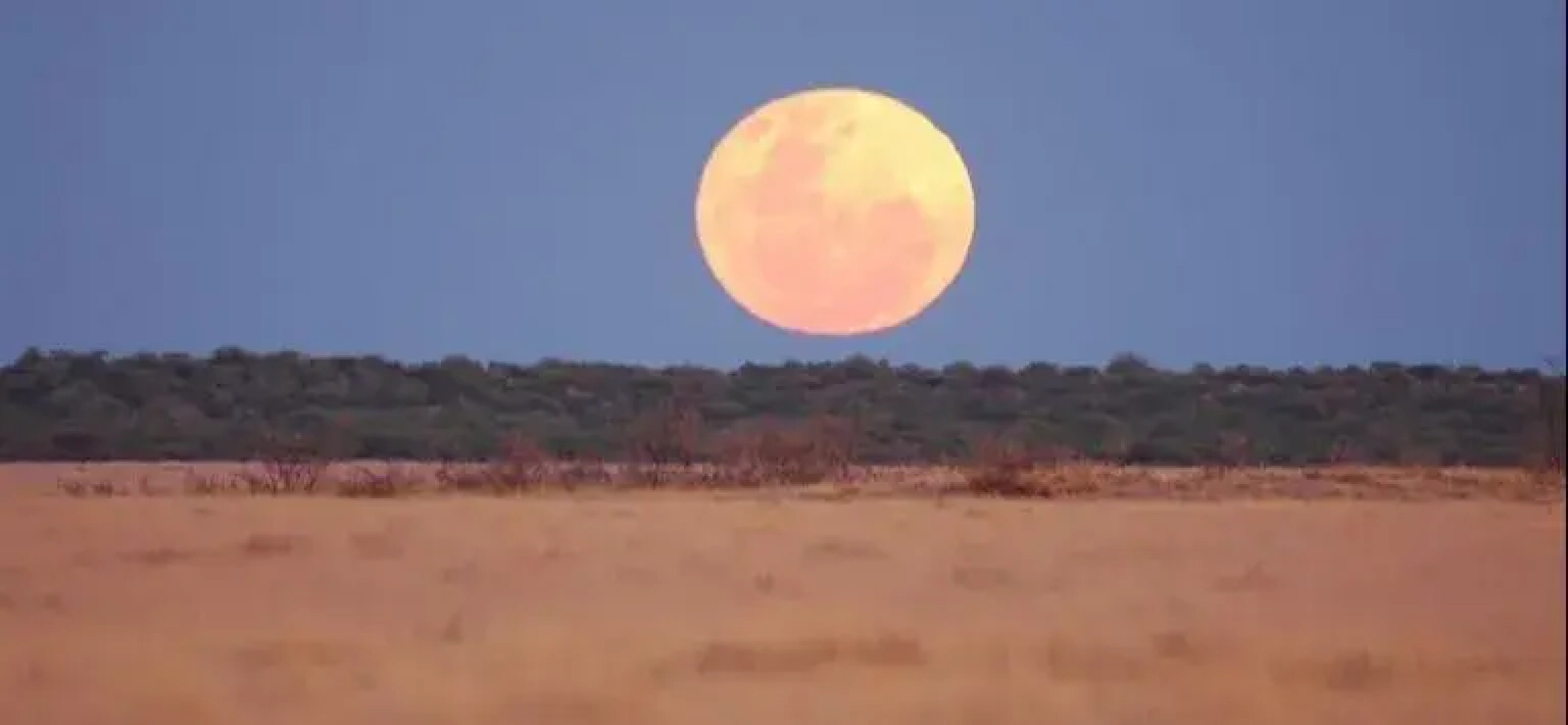 Uukwaluudhi Safari Lodge