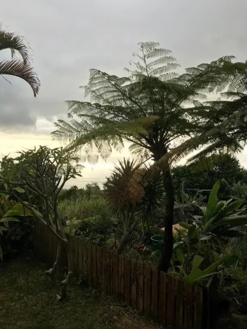 Leu Myosotis Studio Dans Les Hauts de Saint-Leu Reunion