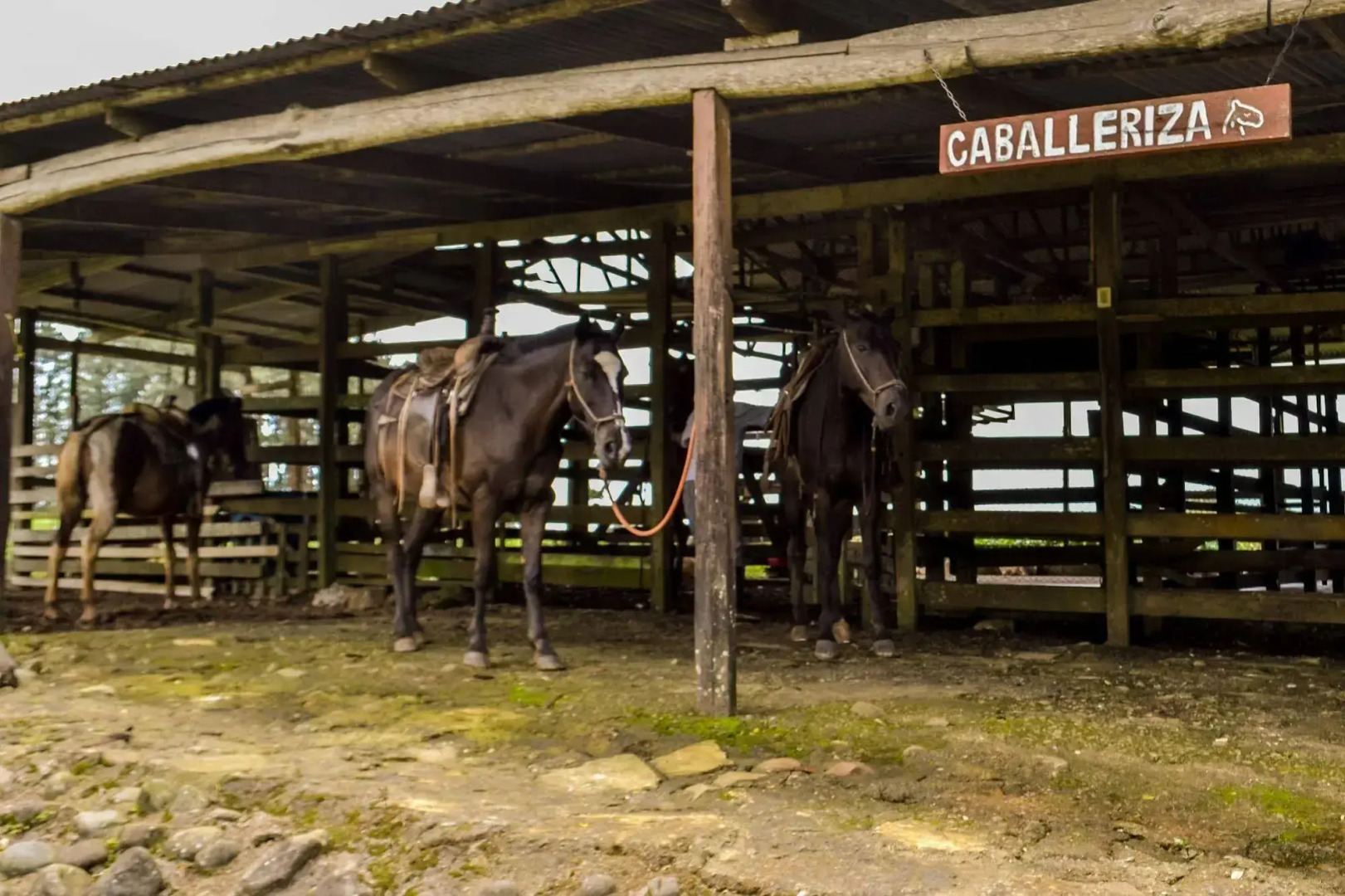 Termales del Bosque & Hot Springs