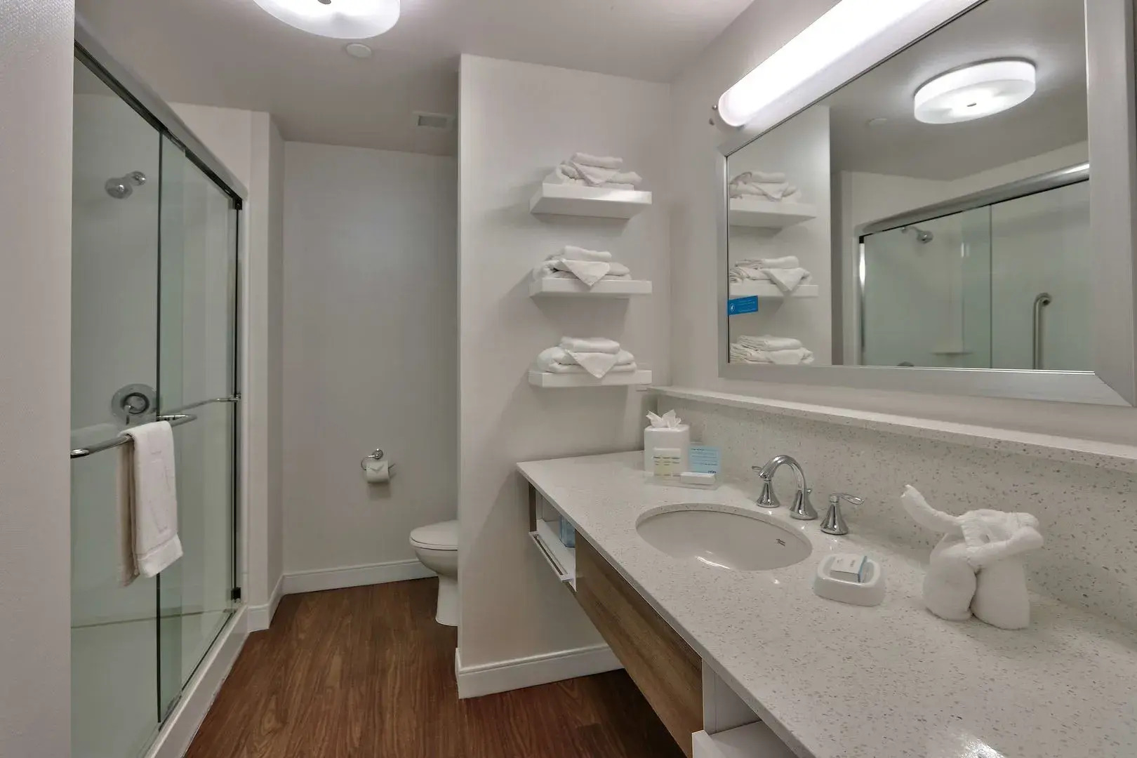 Hampton Inn and Suites Las Cruces I 10