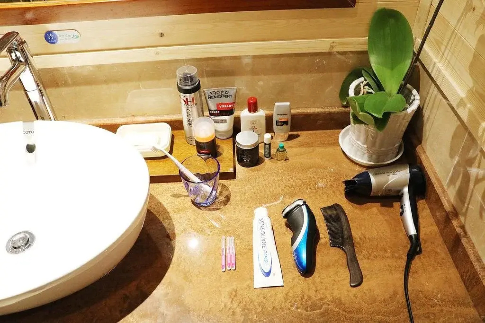 Arcadia International Resort Hotel