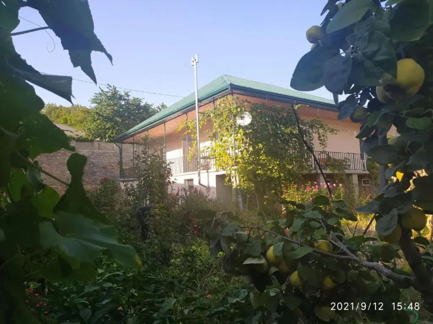 Sharip Guest house