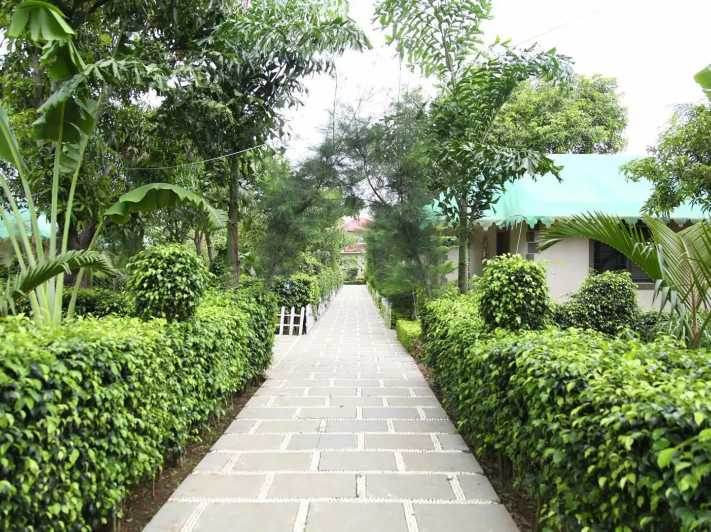 Saavaj Resort - Sasan Gir