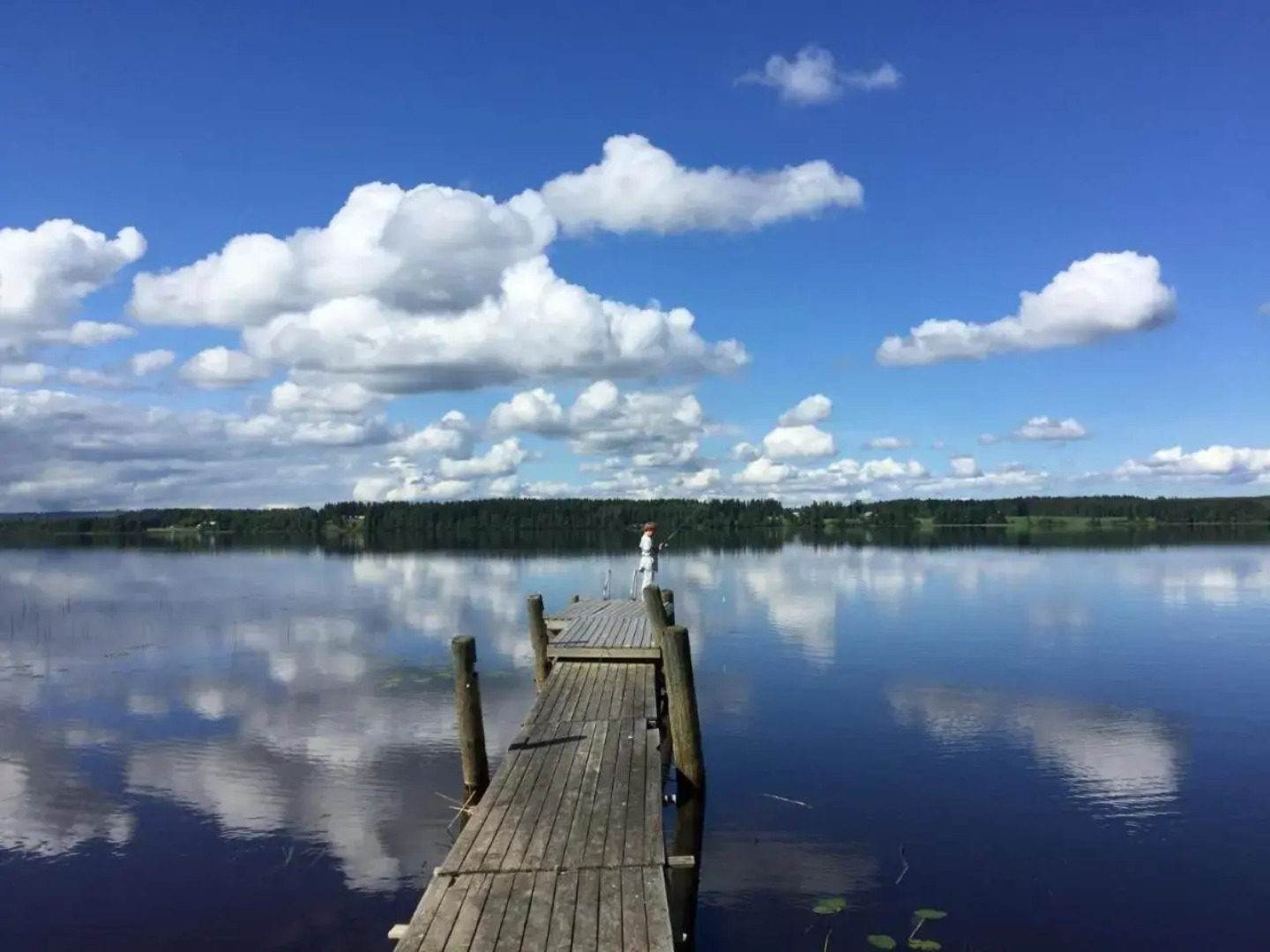 Guest House Haapaniemen Hirsikartano