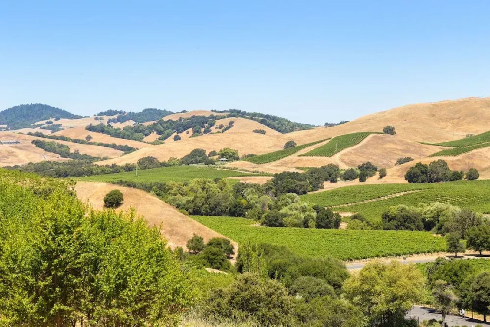 Wine Country Gem 2 Bedrooms 1 Bathroom Home