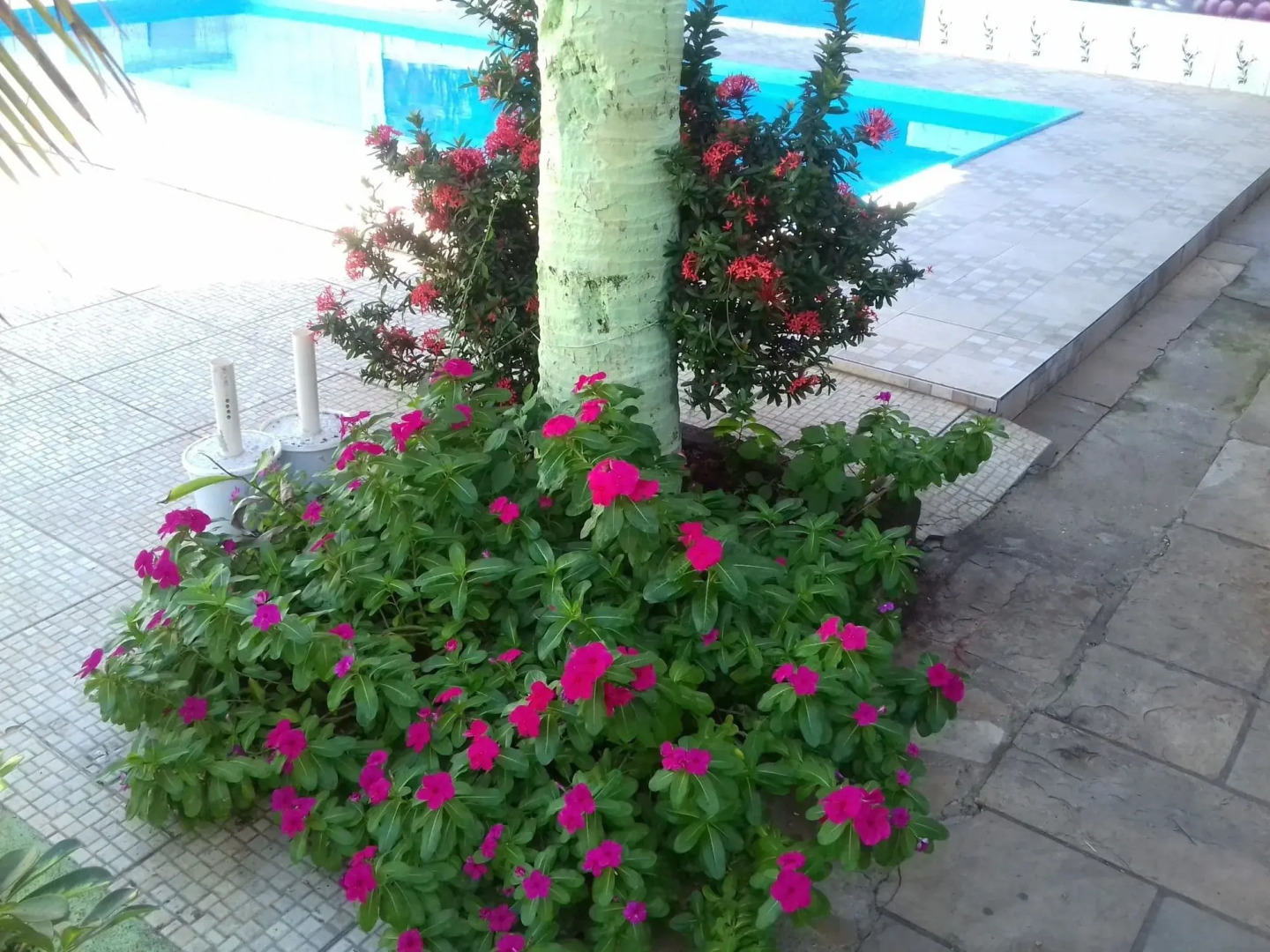 Pousada Flora Búzios