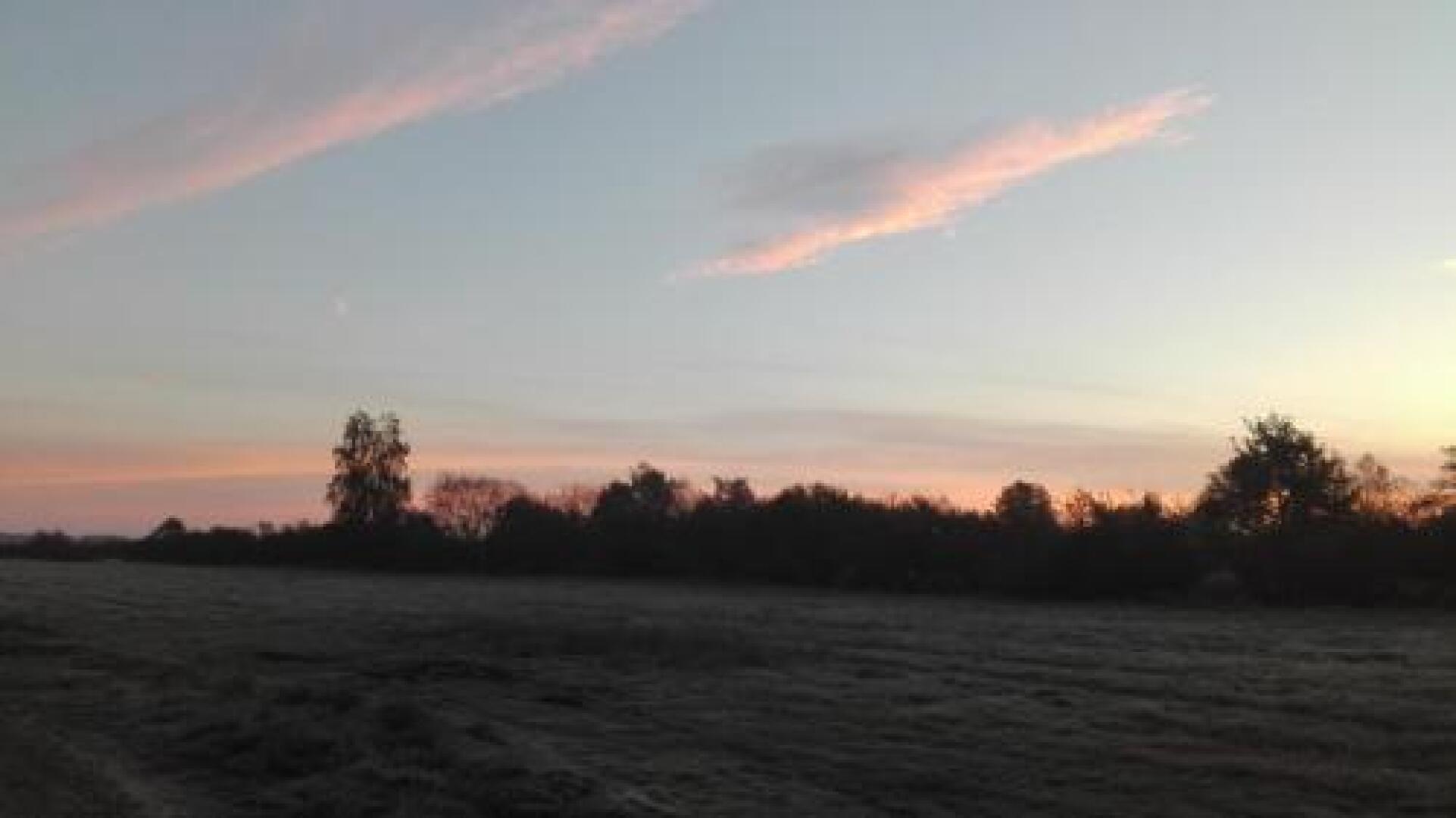 Dom Nad Morzem Kinga