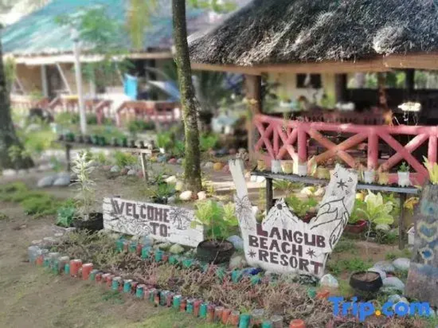 Langub Beach Resort Sipalay by RedDoorz