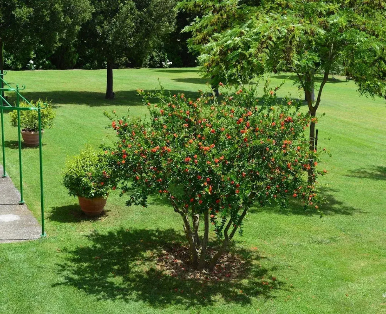 Agriturismo La Godiola