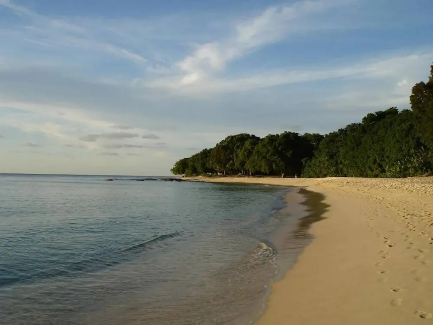 Prospect #4 - 3bd By Zenbreak