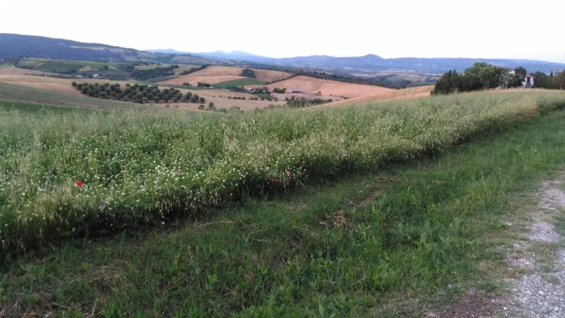 Agriturismo Uliveto Gretacci