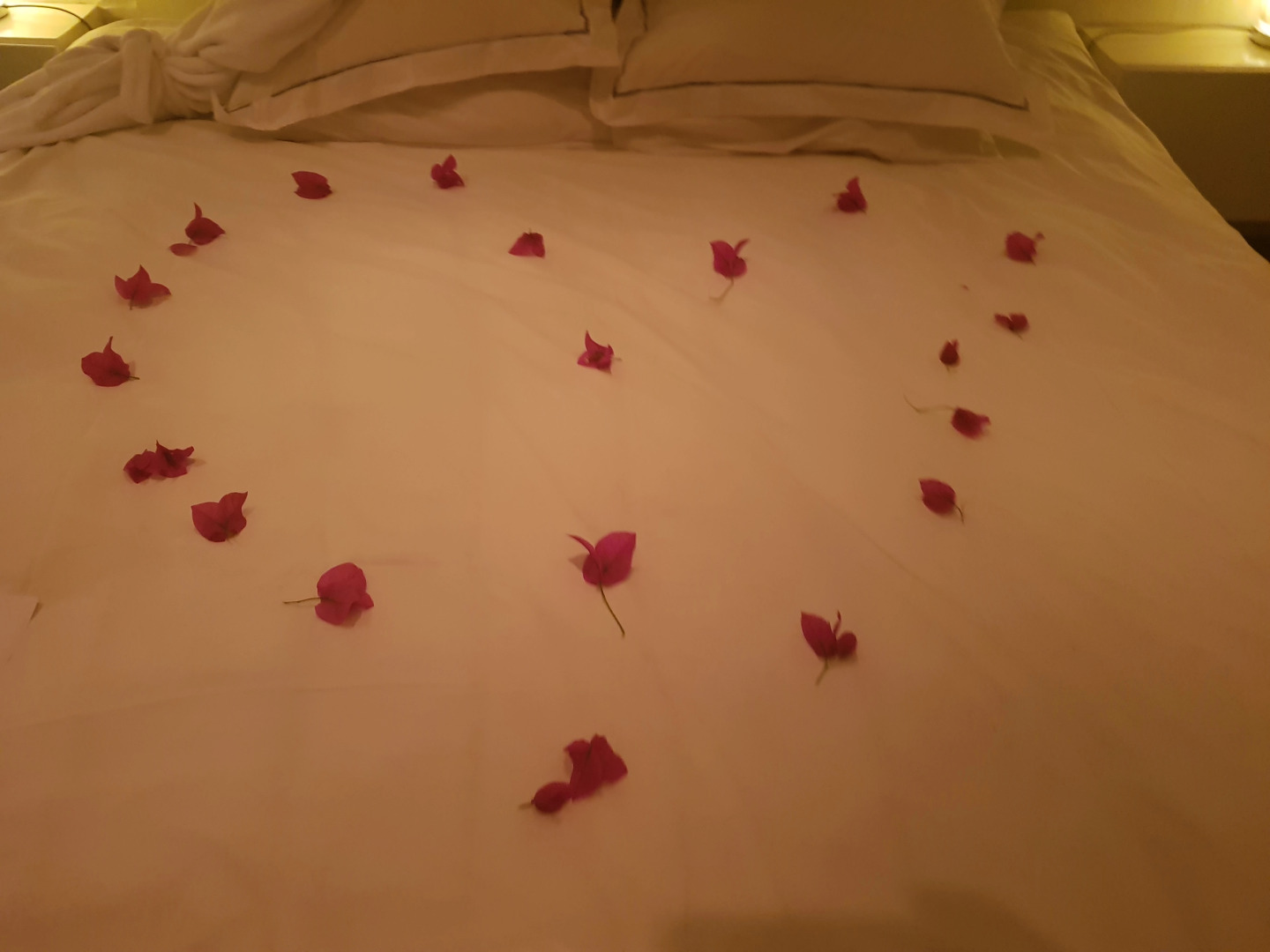 De Kloof Luxury Estate