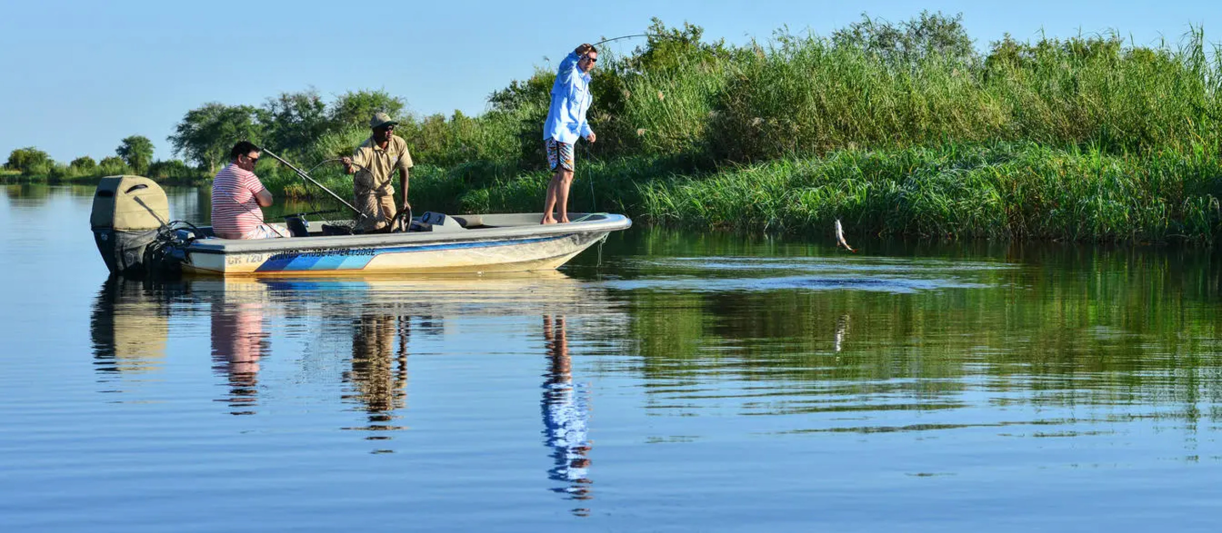 Chobe Princesses by Mantis