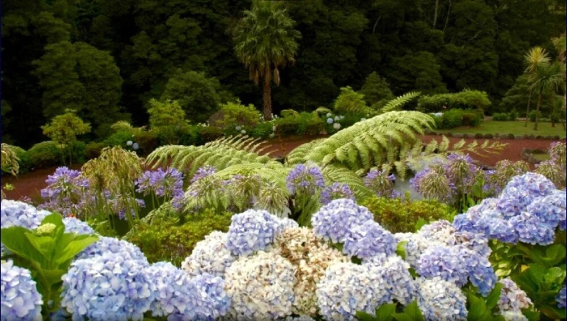 Apartment With one Bedroom in Pico da Pedra, With Wonderful Mountain V