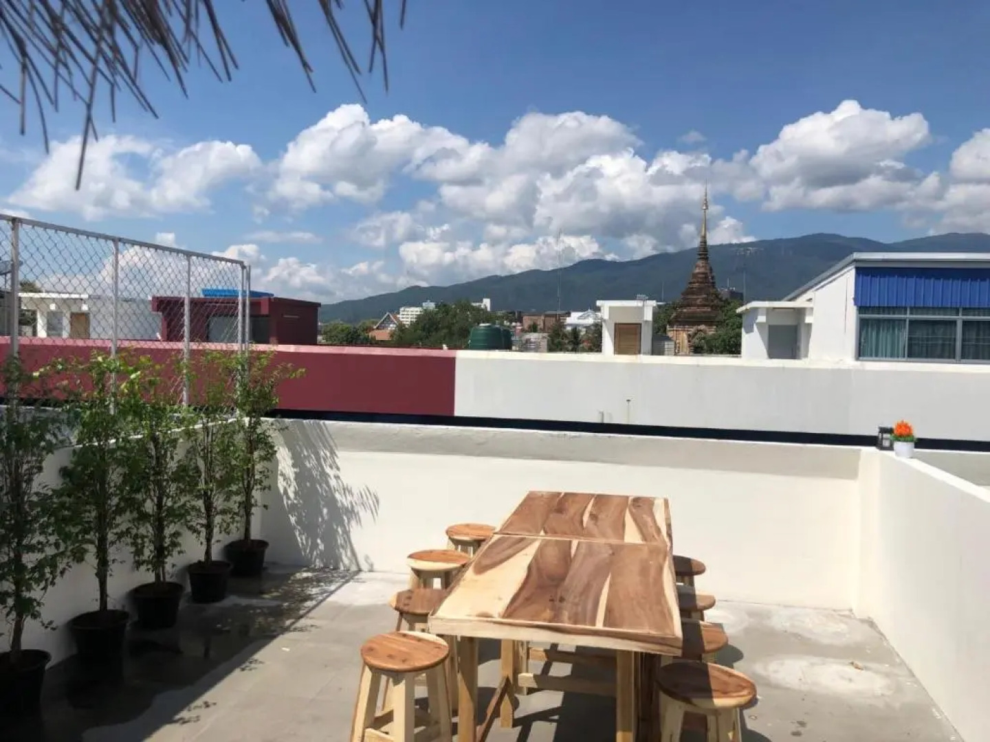 Monkey Toe Guesthouse - Hostel