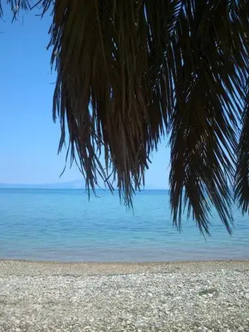 Evoikos beach & resort