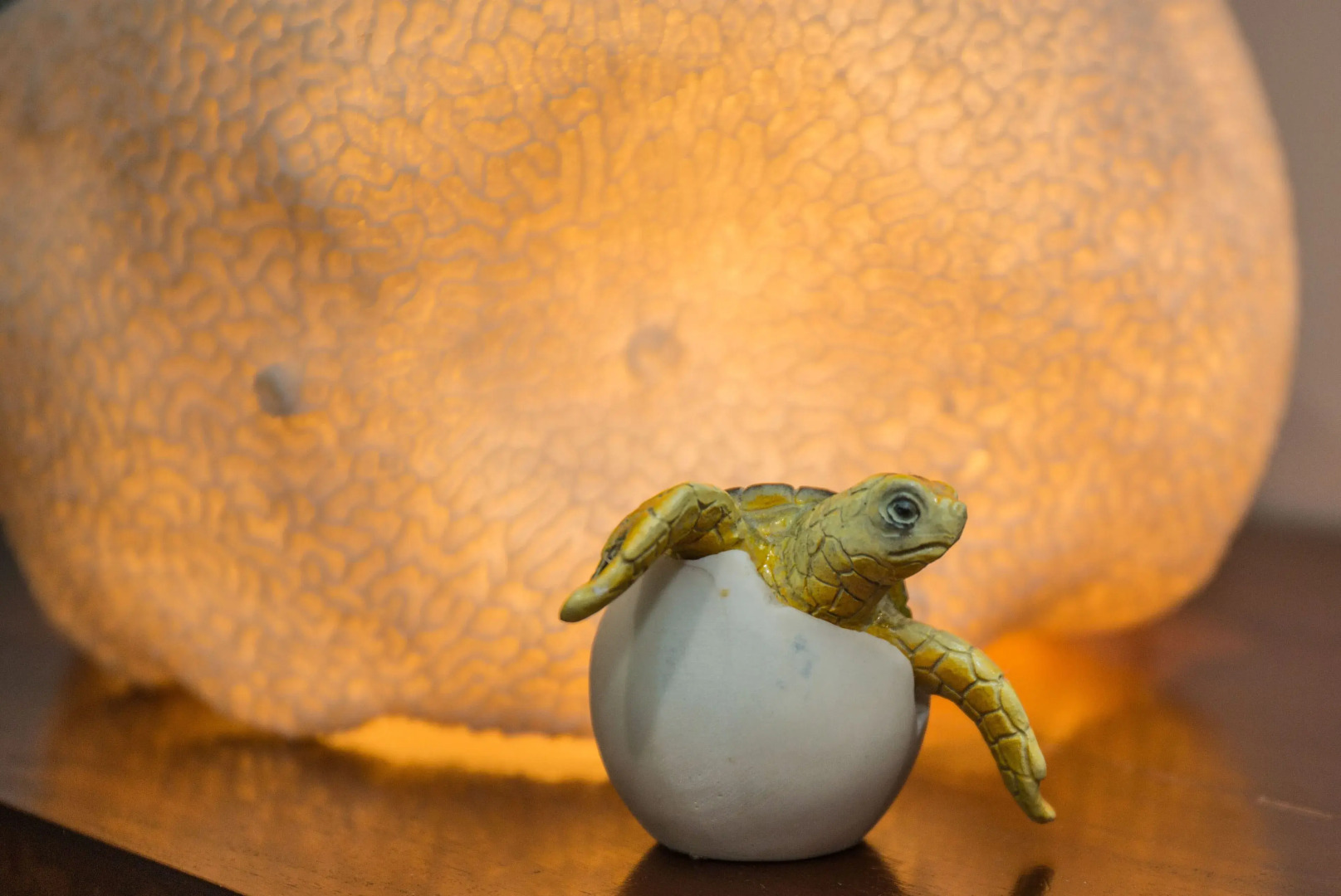 Whitsunday Organic Bed & Breakfast