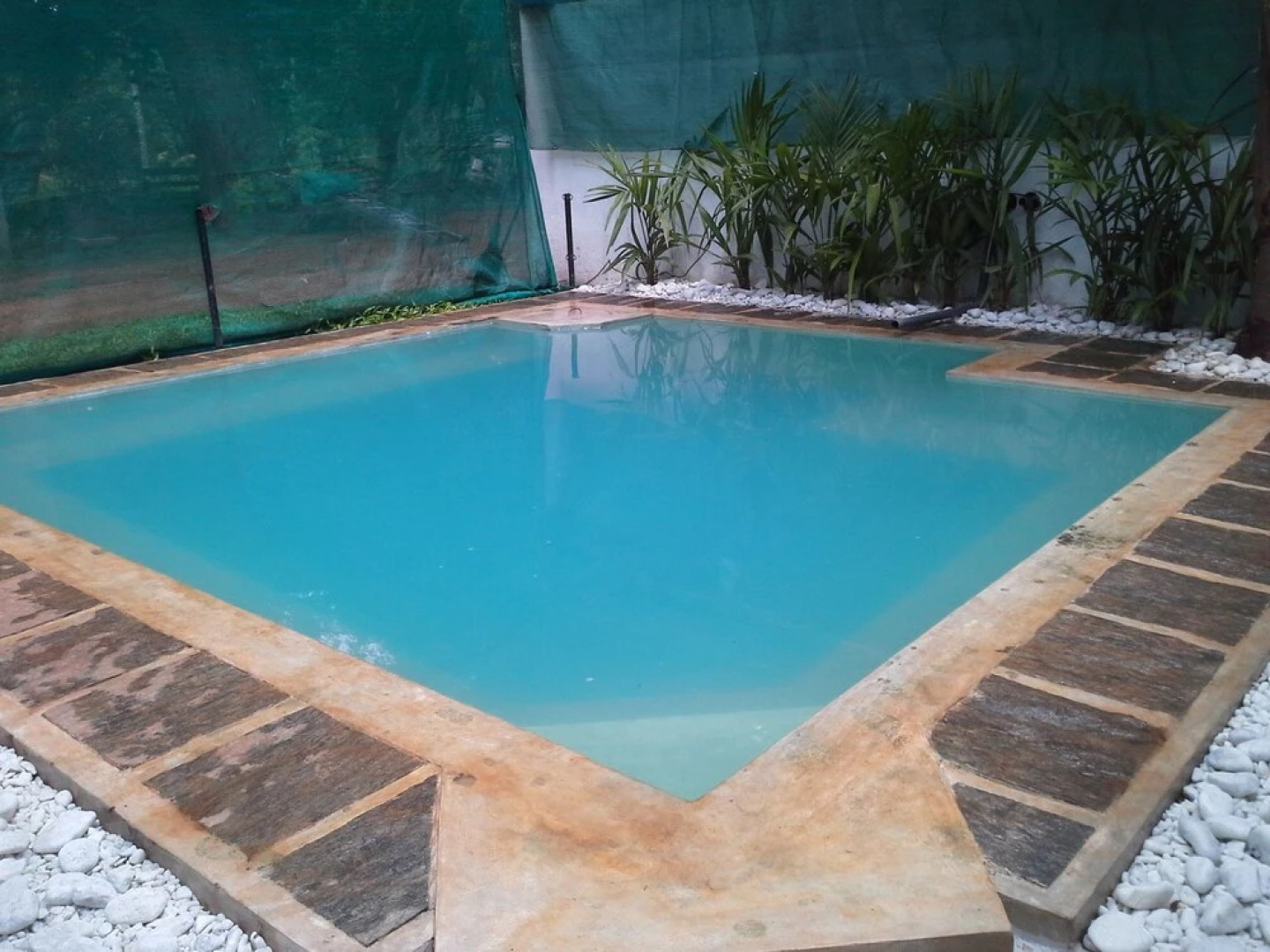 Cadjan Sacred Anuradhapura