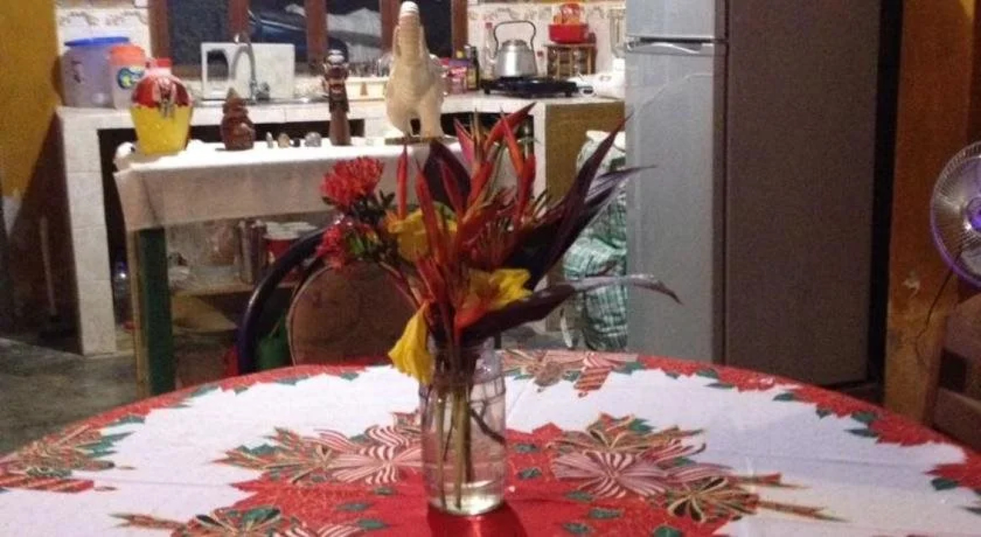 Amazonia Guest House