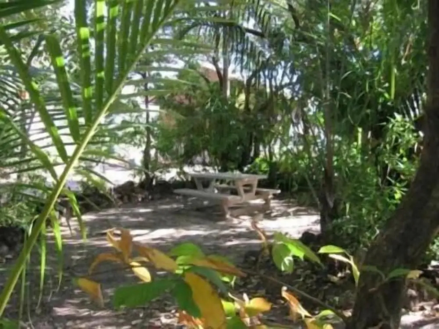Crab Claw Island