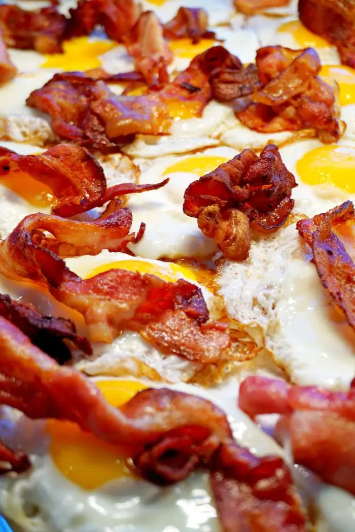 Pingvinhotellet UNN Tromsø