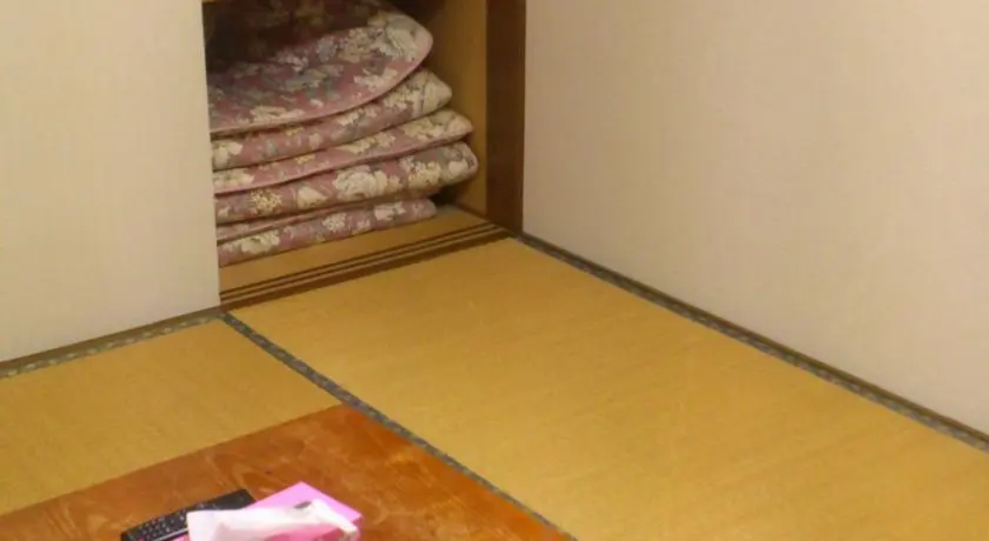 Minshuku Nakafuranosanso