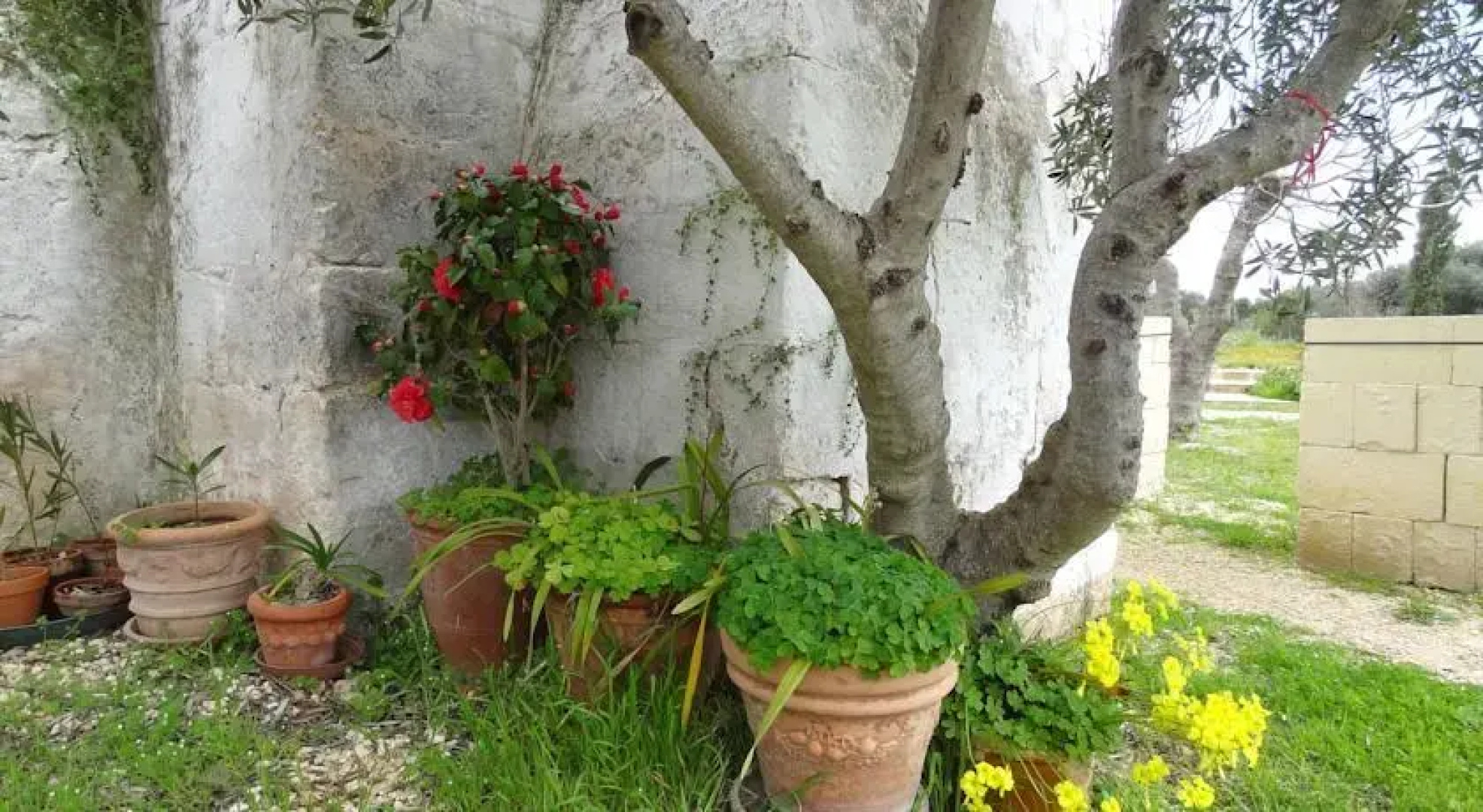 Giardini Di Marzo