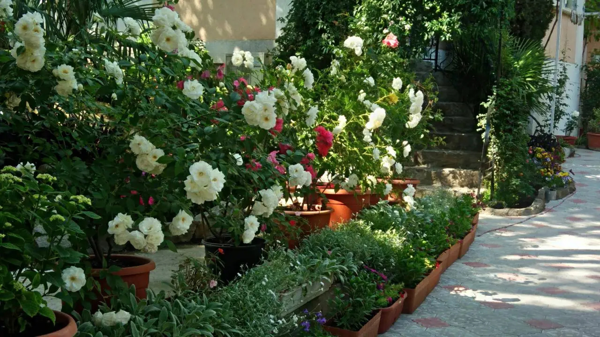 Лукоморье (Алупка)