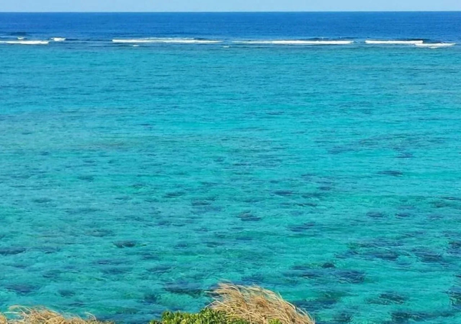 Coral garden 7 pools