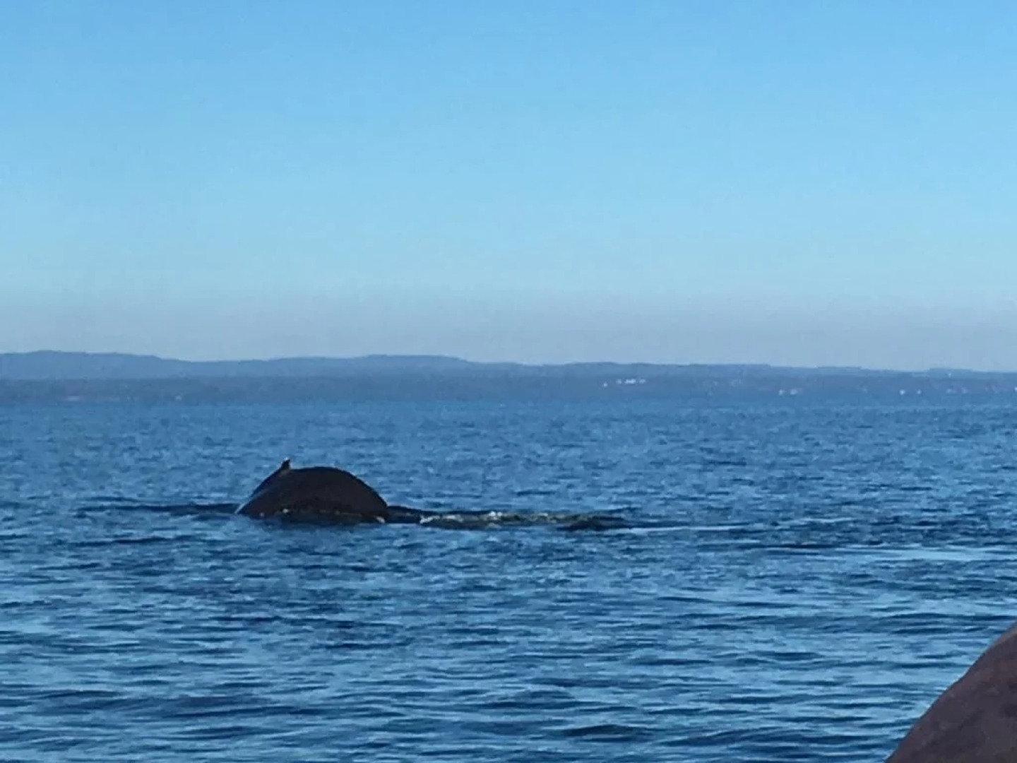 Gï¿½te Chez Lucie