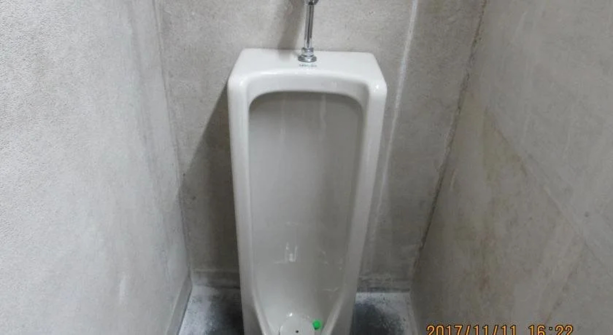 Daichan House - Campsite