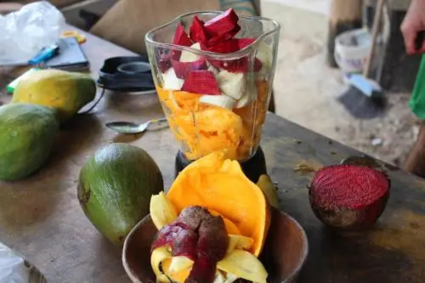 Sachahuasca Backpacker