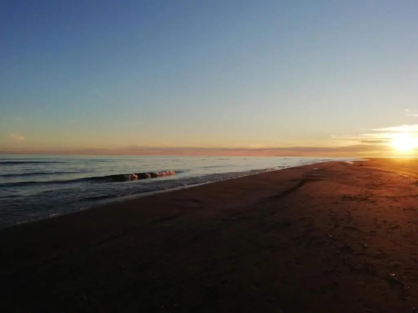 Apartamento Delta Escapada