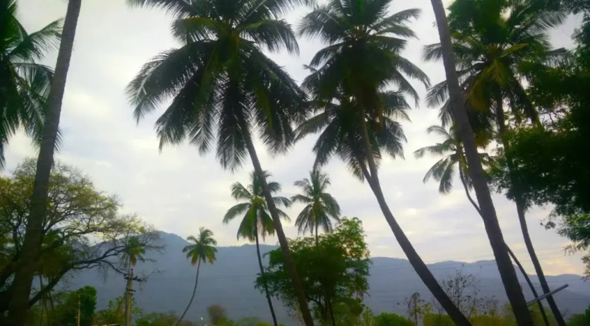 Cloud 9 Stays - Mettupalayam