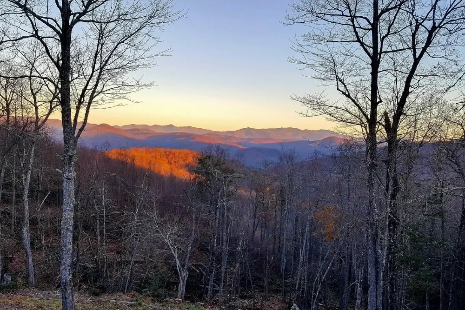 Secluded Black Mountain Cabin w/ On-site Pond!