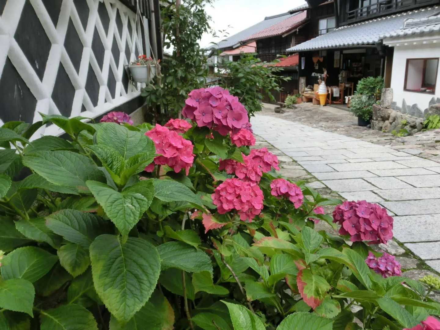 Tajimaya