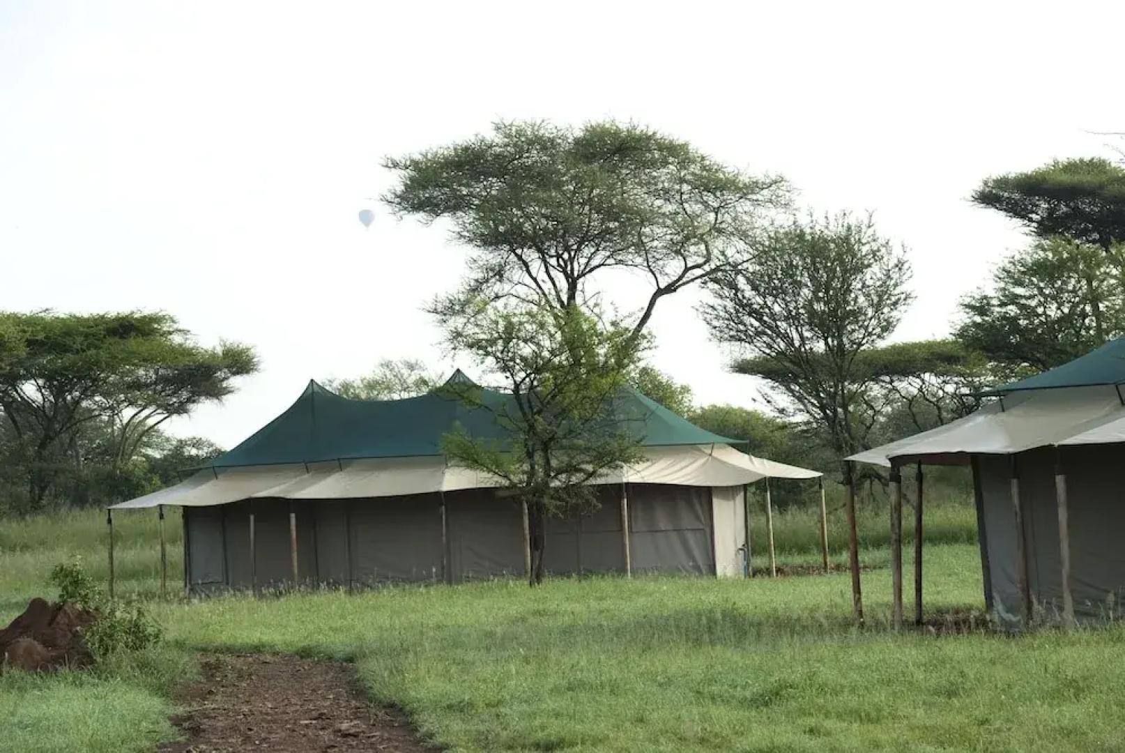 Serengeti Tortilis Camp