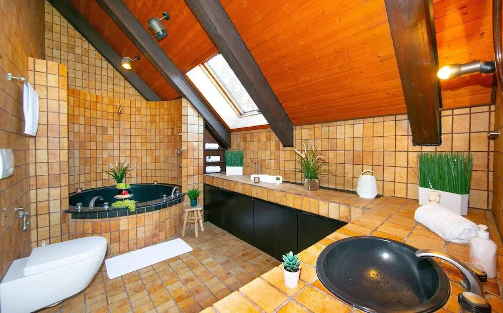 Villa in Koblenz With Rhine Views & Sauna