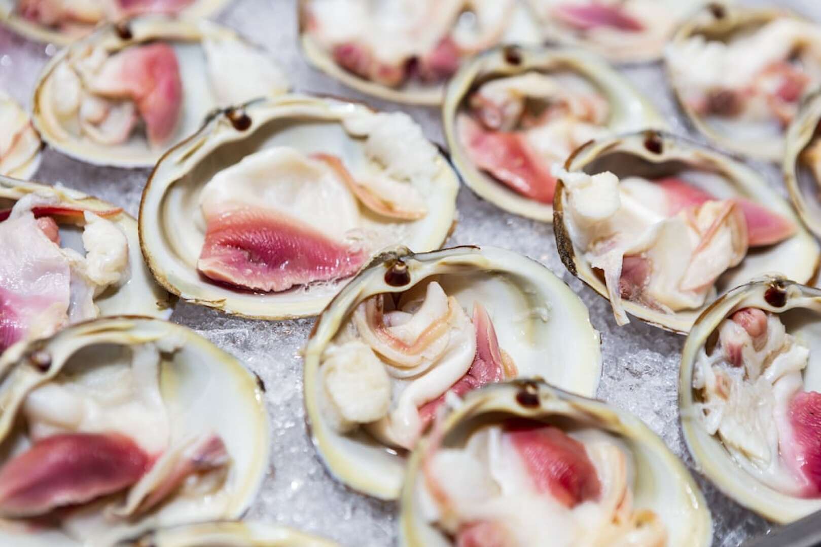 Luoyang Christian's Hotel