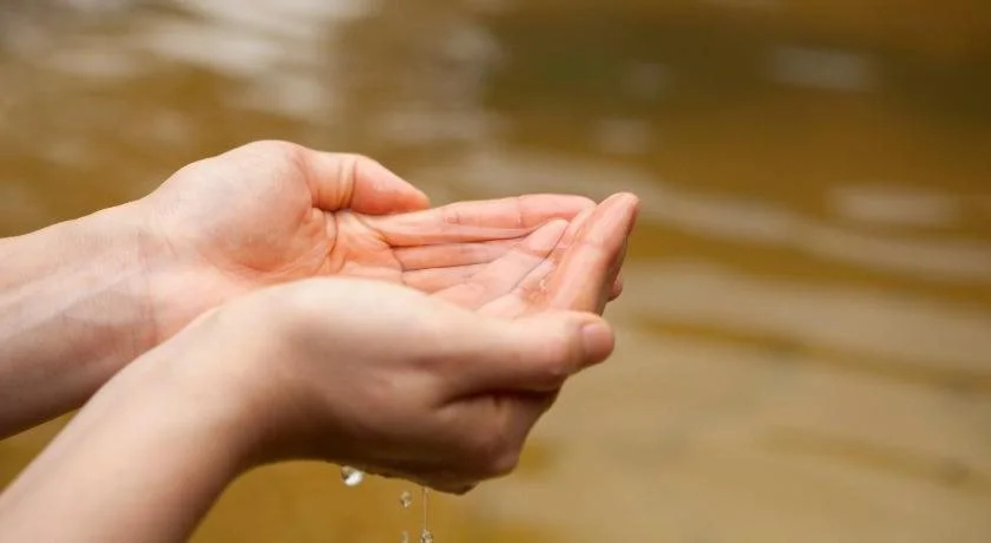 Fukushima Onsen Honokanoyado Tsubakisou