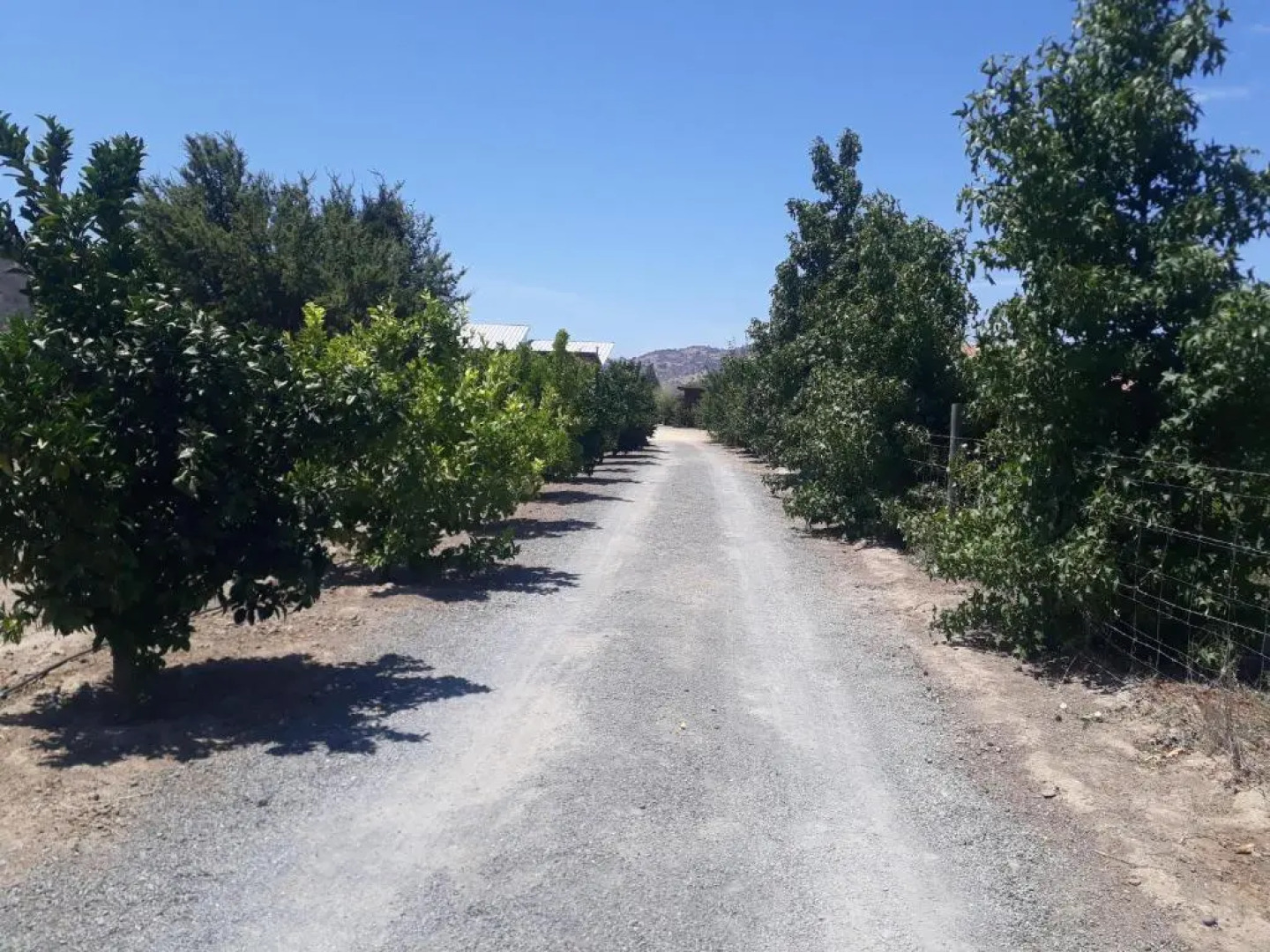 Callihue de Colchagua Lodge