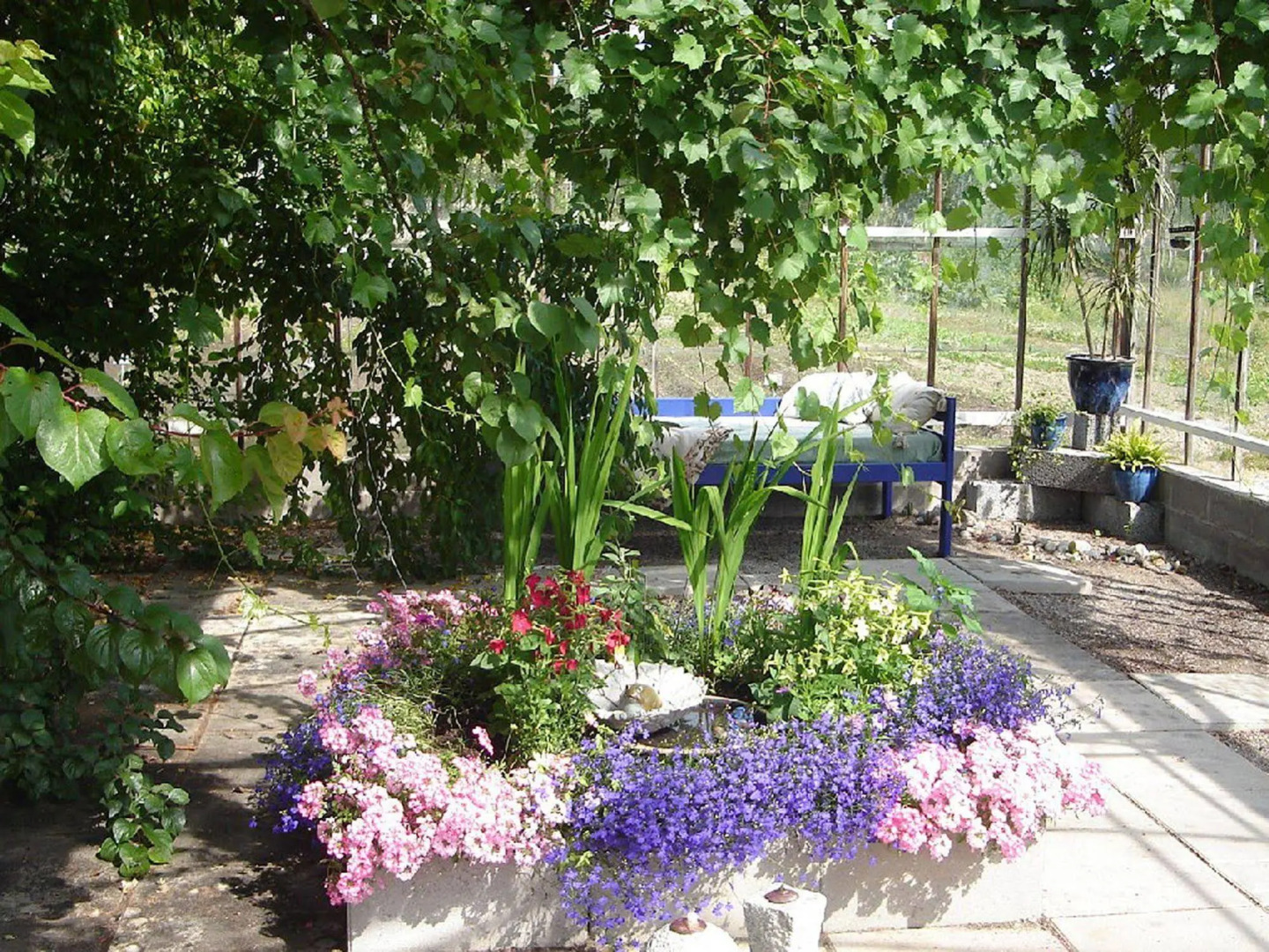 Tingvall B&B Eco-Lodge