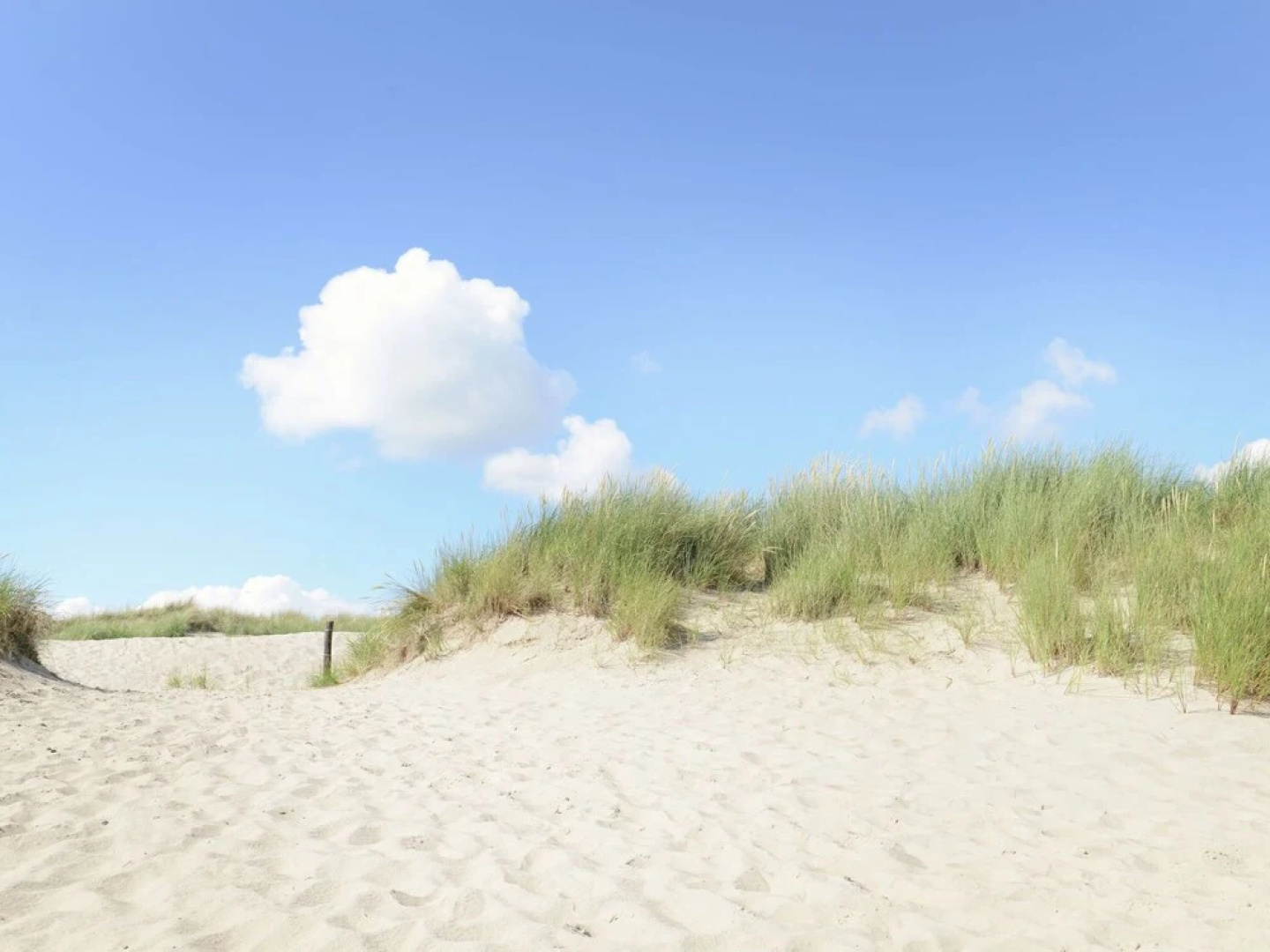 Apartment in Callantsoog With Sauna