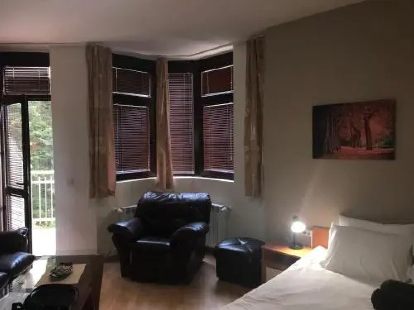 Studio in Hotel Flora Borovets