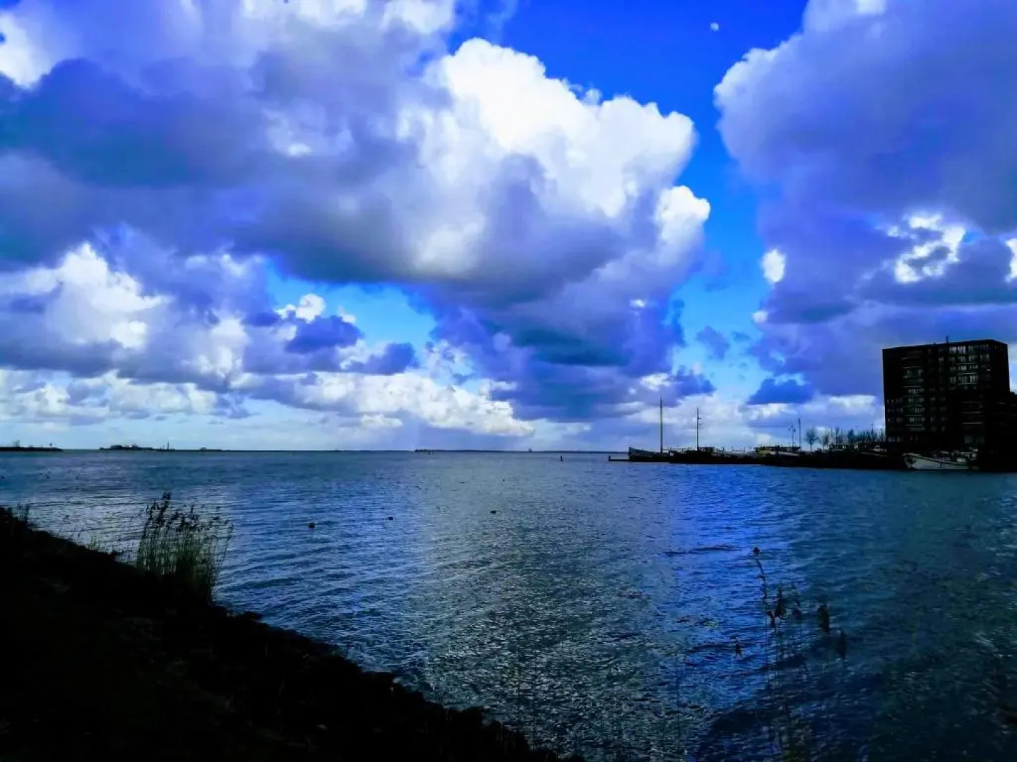 Private Lodge on Houseboat Amsterdam