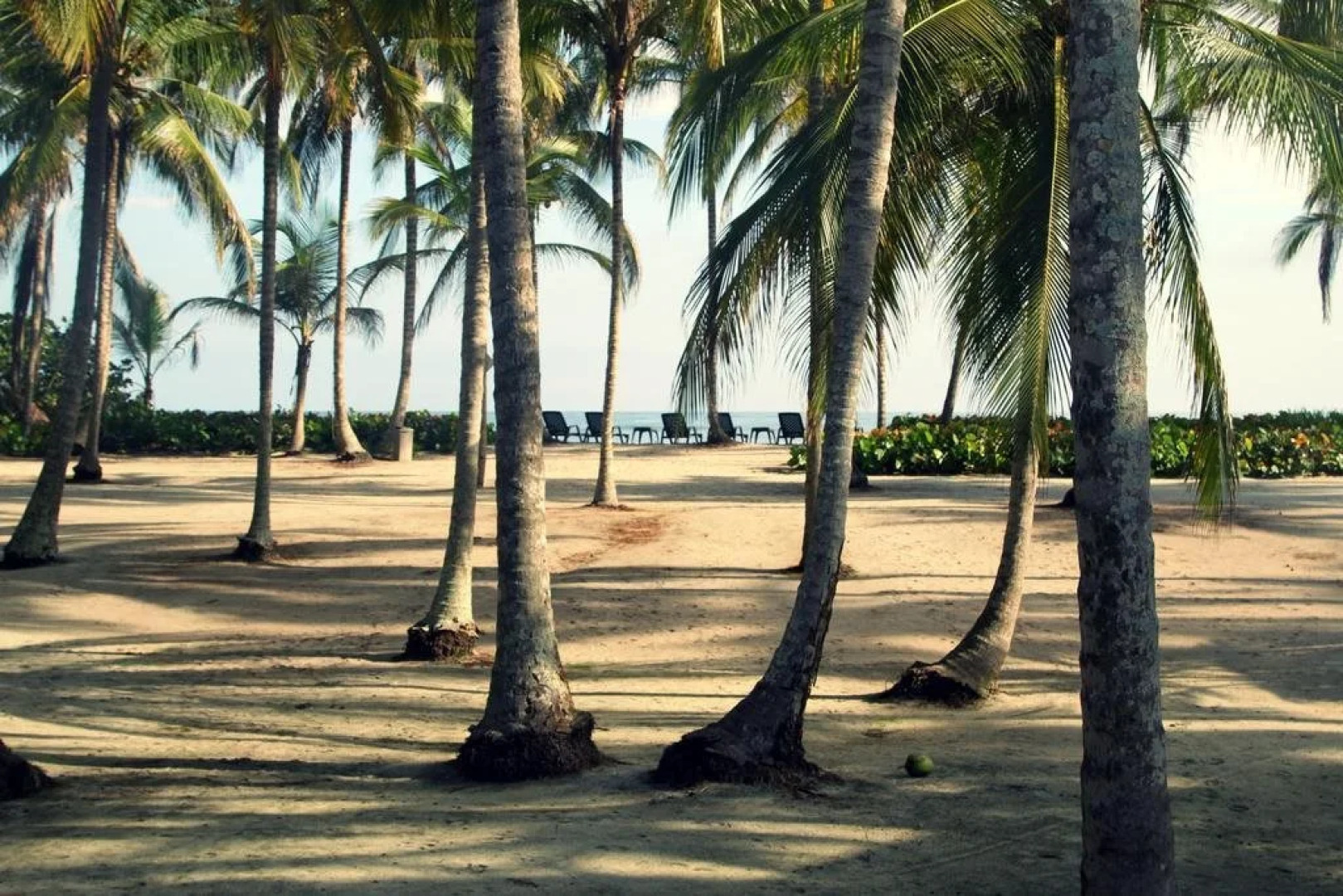 Tayrona Tented Lodge