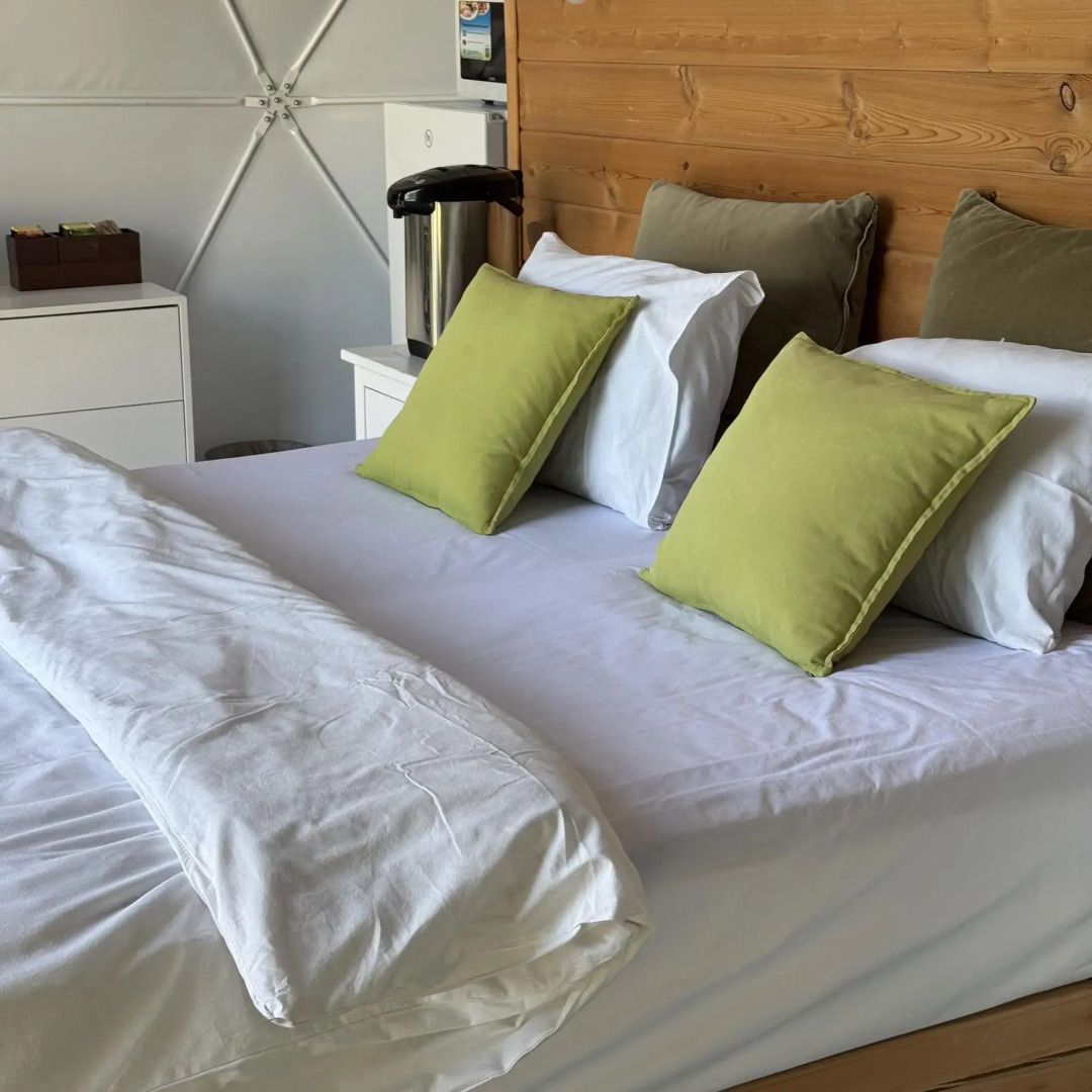 Зелёный колобок