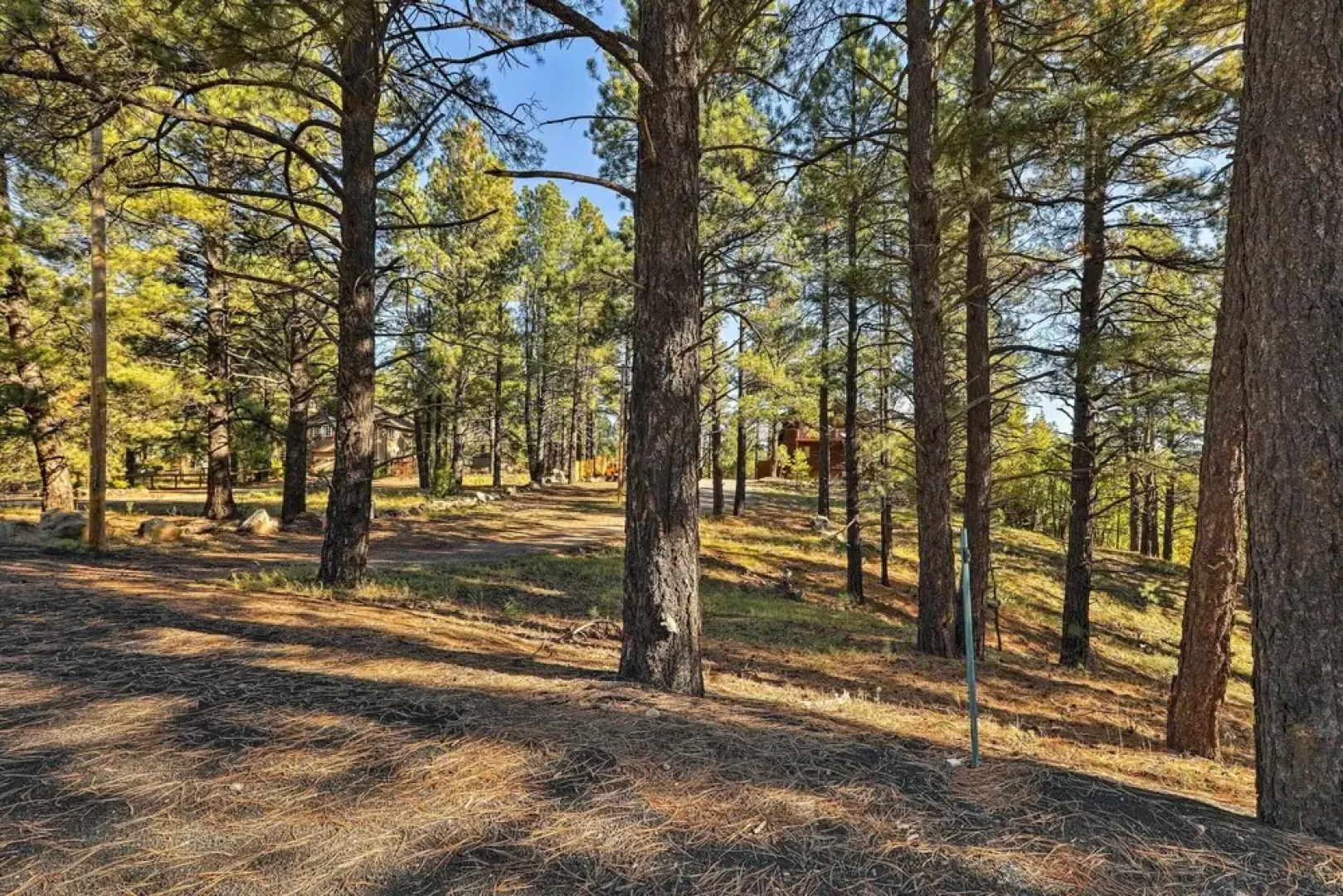 Secluded Flagstaff Apt on 4 Acres with Spacious Deck