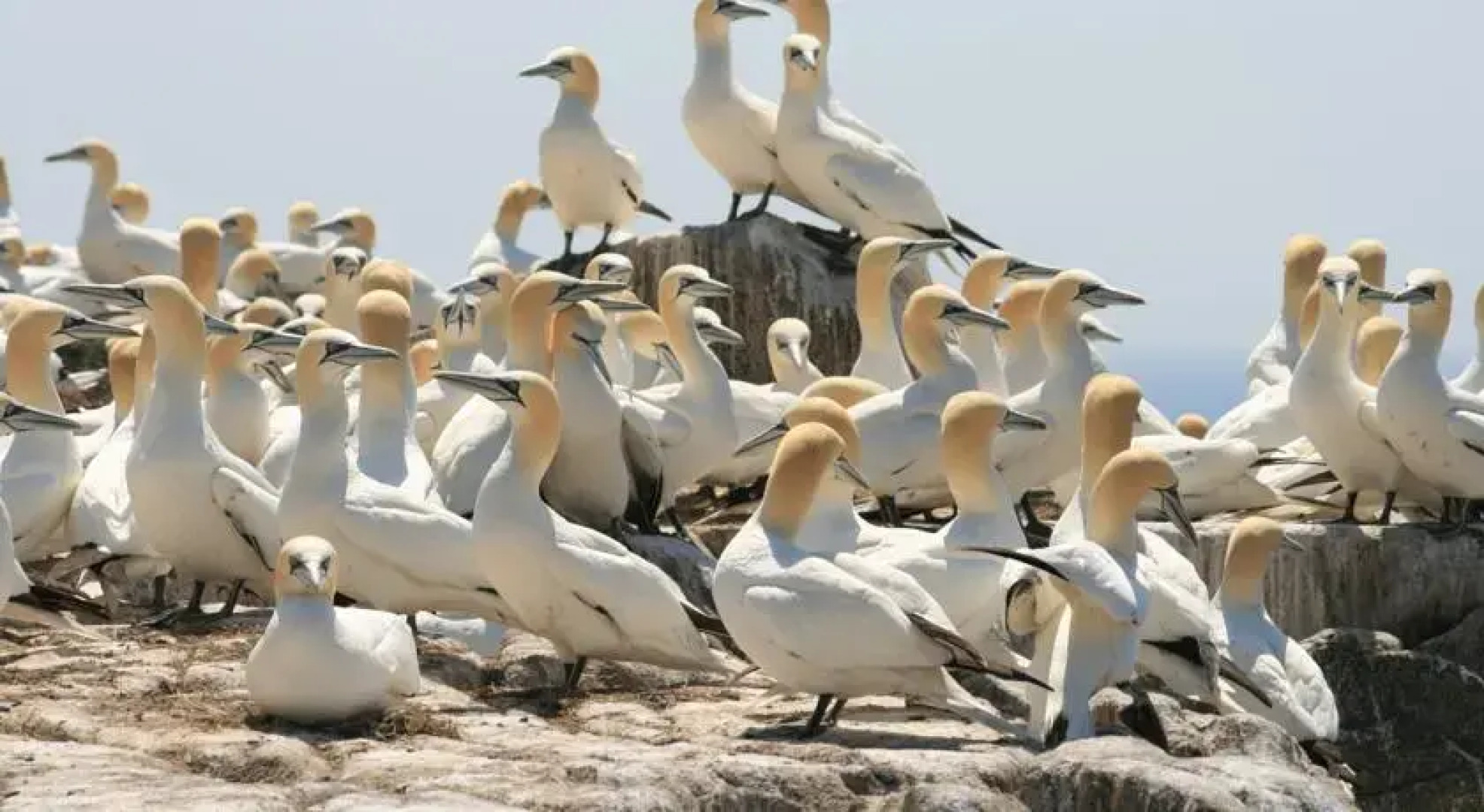 Kilmore Cottages Self - Catering